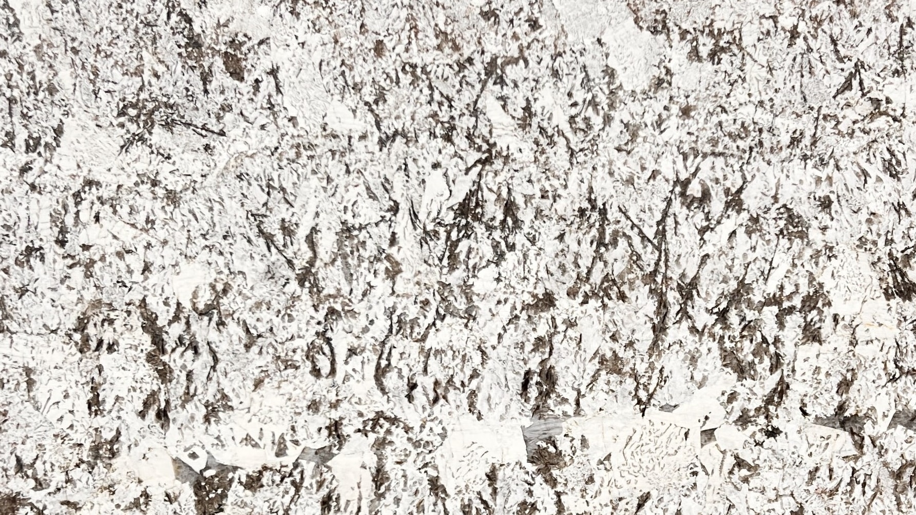 Bianco Antico #298 · 116" X 71"