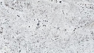 White Knight Leather #37288 · 123" X 75"