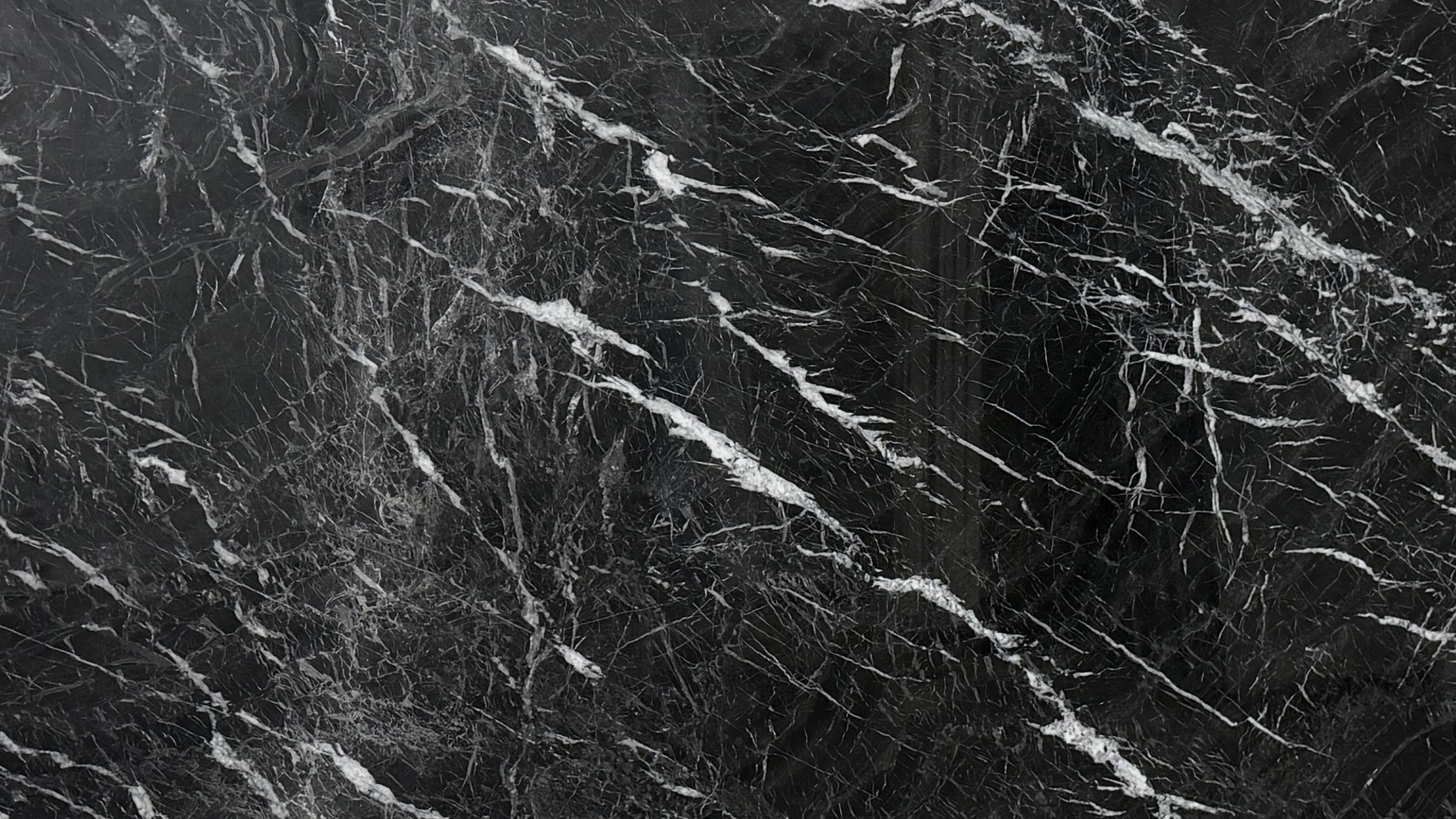 Black Swan #2303 · 135" X 78"