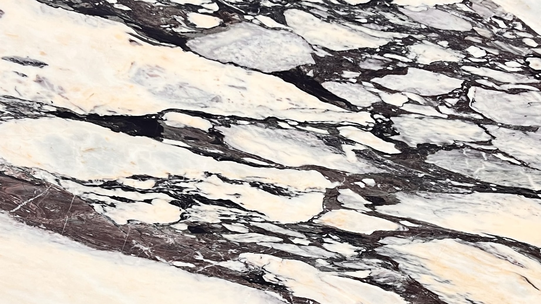 Calacatta Viola #41698 · 117" X 71"