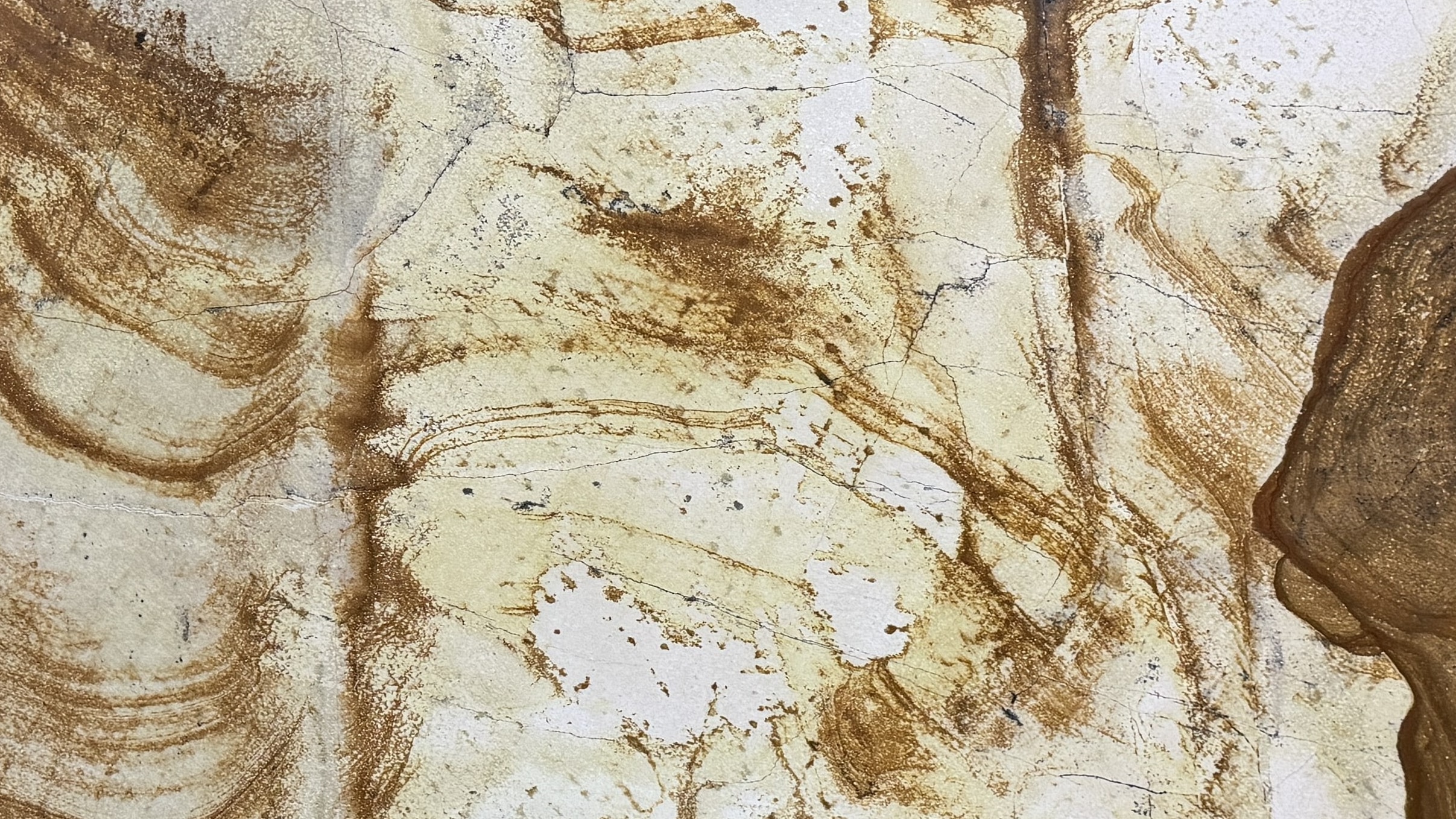 Desert Bloom #17262 · 131" X 78"