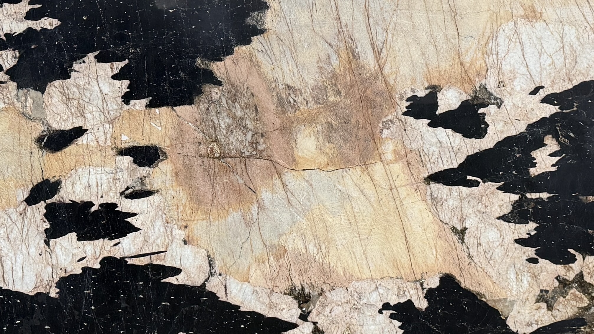 Patagonia Venom #322 · 118" X 73"