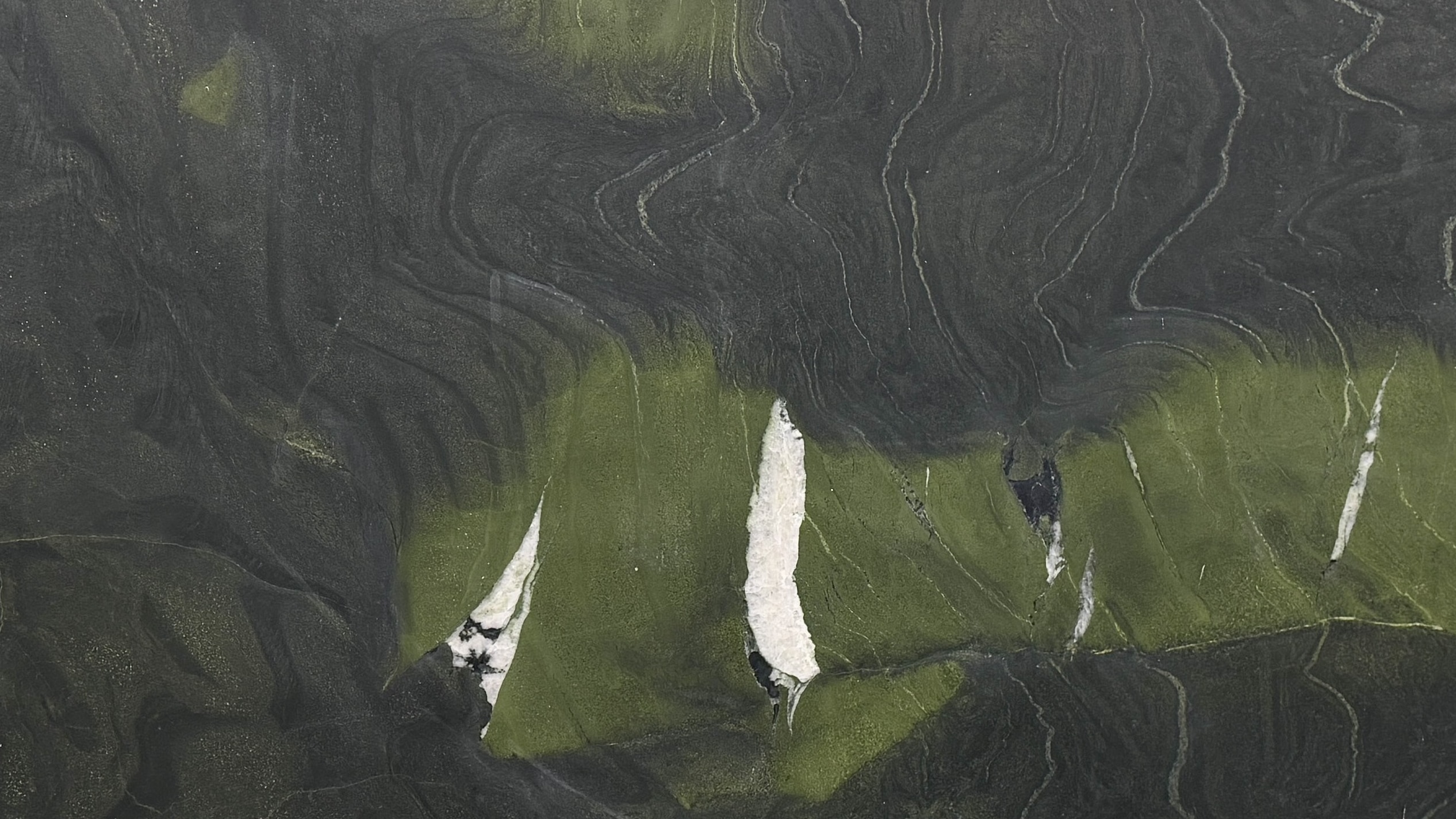 Avocatus Leather #9275 · 127" X 79"
