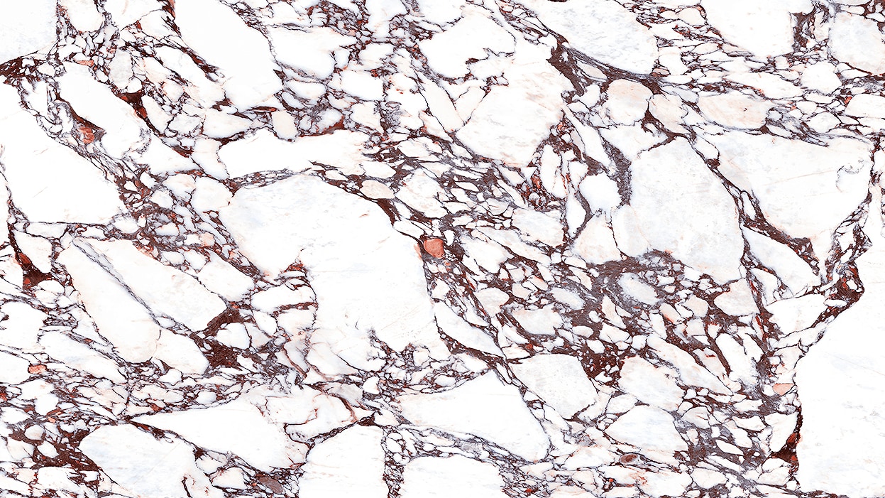 Calacatta Viola. #M5049 · 126" x 63"